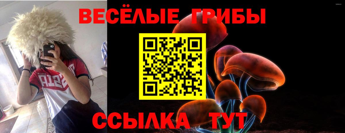 Галлюциногенные грибы ЛСД  купить  цена  Бахчисарай  Вход с VPN 
